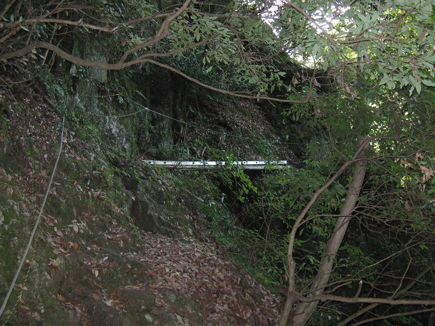 槙尾山の山道（仮の写真）